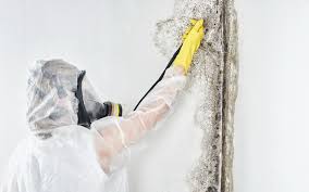 Mold Removal for HVAC Installations in Eau Claire, WI